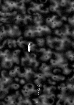 Page 37 of Shogun no Min Freejia