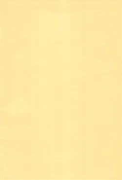 Page 4 of WHITE & WHITE