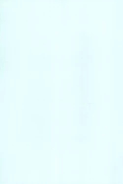 Page 41 of Imouto no Mune