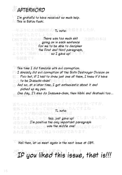 Page 17 of Ikazuchi Meiseikigo Gokuhi Kiroku