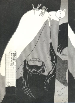 Page 67 of Colorful Moon 2