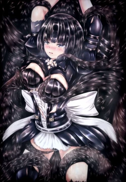 Page 1 of Shadowverse no Hon