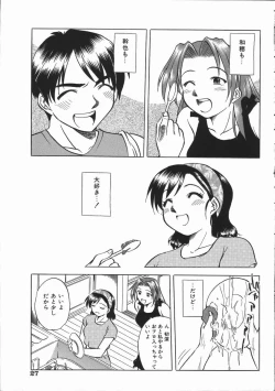 Page 29 of Ikagawashii Hitotachi