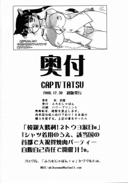 Page 33 of CAP IV TATSU
