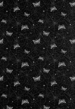 Page 25 of Kashima Practice 2