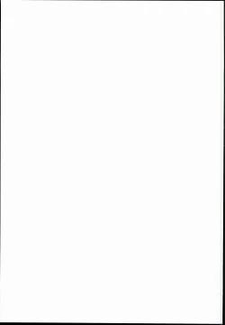 Page 27 of Doitsu Nadeshiko