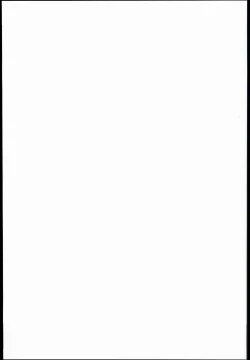 Page 25 of Seijun JC Hatsuenkou file.03