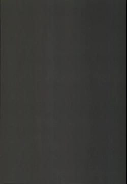 Page 4 of LIbeccio to Shinkon Seikatsu 2