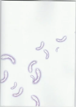 Page 18 of Taitai no Himitsu-koto