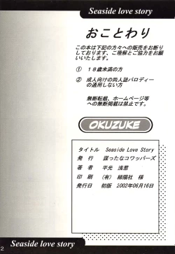 Page 21 of Seaside Love Story