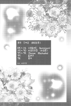 Page 4 of Kikan Syrup