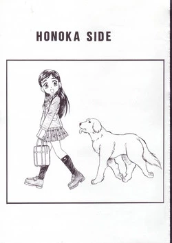 Download Honoka Side