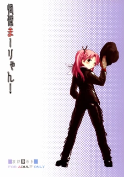 Page 28 of Kaiketsu Ma-ryan!