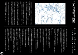 Page 21 of Gensoukyou Inkou Kirokushuu