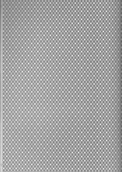 Page 29 of BiancaNeve