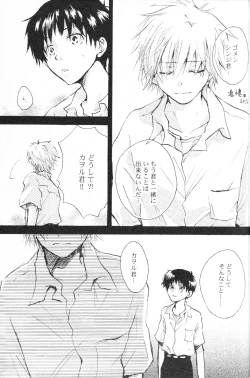 Page 20 of PSP Eva 2 no Susume