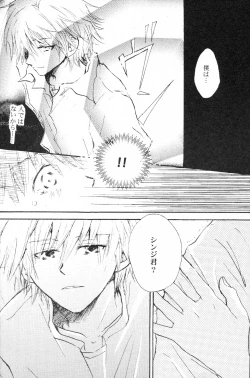 Page 21 of PSP Eva 2 no Susume