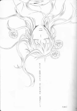 Page 23 of Marshmallow chocolate