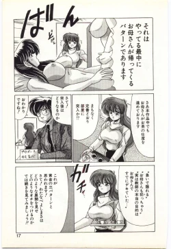 Page 16 of Subete wo Misetai