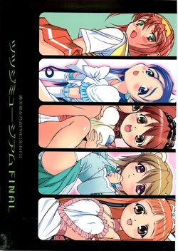 Download Tsutsuji Museum FINAL