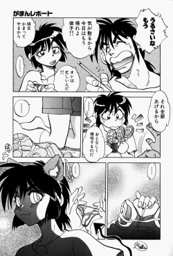 Page 43 of Gaman Report