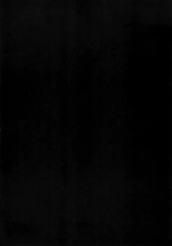 Page 4 of Shiburin-ppoi no! 2