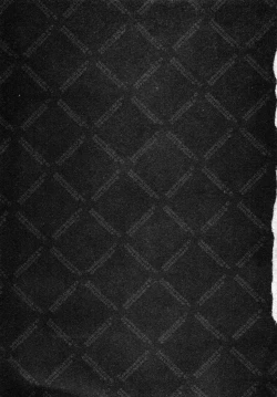 Page 226 of Marugoto Okusan