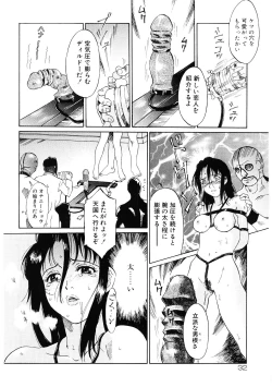 Page 33 of Bigyaku no Neiro