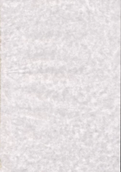 Page 27 of Touhou Shunga Hon - Hyousei Sounan