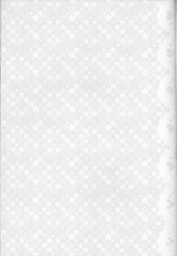 Page 12 of Anata no mono ni Naretanara