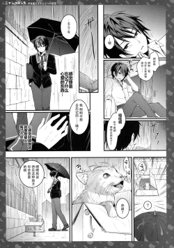 Page 23 of Nyancology 5san to Himitsu no Misshitsu-