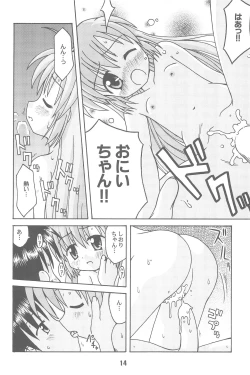 Page 14 of Hajishino