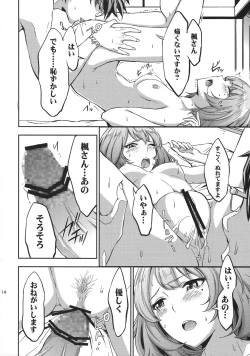 Page 13 of Siccative 84