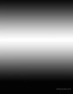 Page 337 of My Wives Ch.1-32