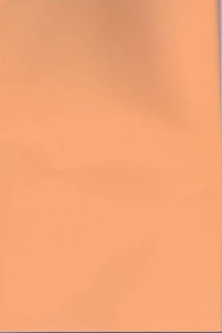 Page 2 of Neko to Hirune Ni