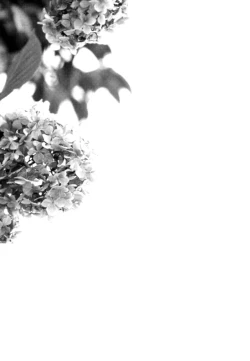 Page 26 of Nora Neko to Rainy Days