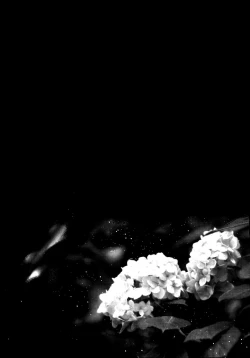 Page 51 of Nora Neko to Rainy Days