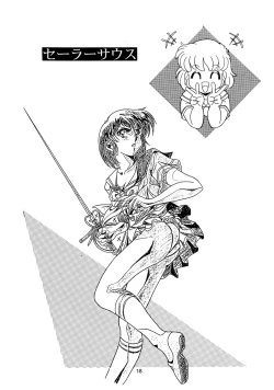 Page 17 of Chaos Create Kawarajima Koh Datafile