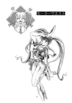 Page 21 of Chaos Create Kawarajima Koh Datafile