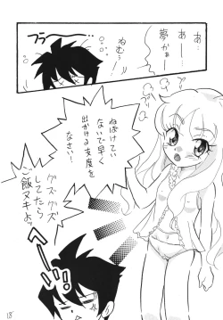 Page 18 of Zero no Louise