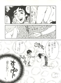 Page 19 of Heart o Migakukkya Nai