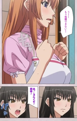 Page 11 of Dekakute Ecchi na Ore no Ane - Special Complete Han