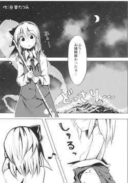 Page 5 of Marisa to Youmu no Yukemuri Ecchi