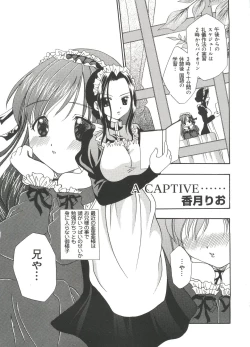 Page 74 of Welcome Island Vol. 3