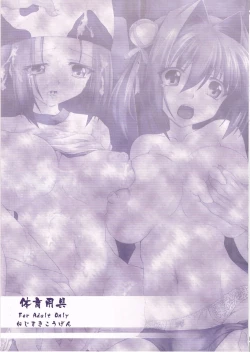 Page 27 of Taiiku Yougu