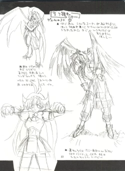 Page 22 of KAISHAKU 9