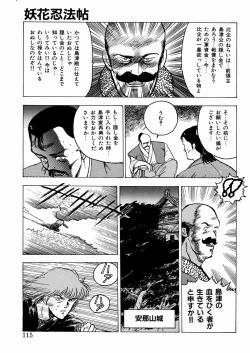 Page 116 of Youka Ninpouchou Ten no Maki