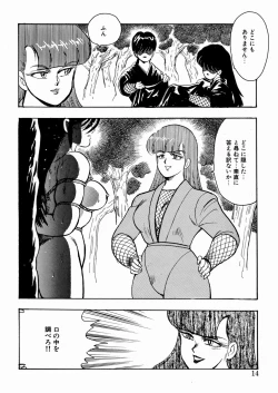 Page 15 of Youka Ninpouchou Ten no Maki