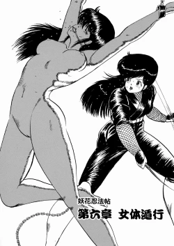 Page 88 of Youka Ninpouchou Ten no Maki