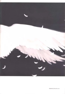 Page 29 of C-COLLECTION